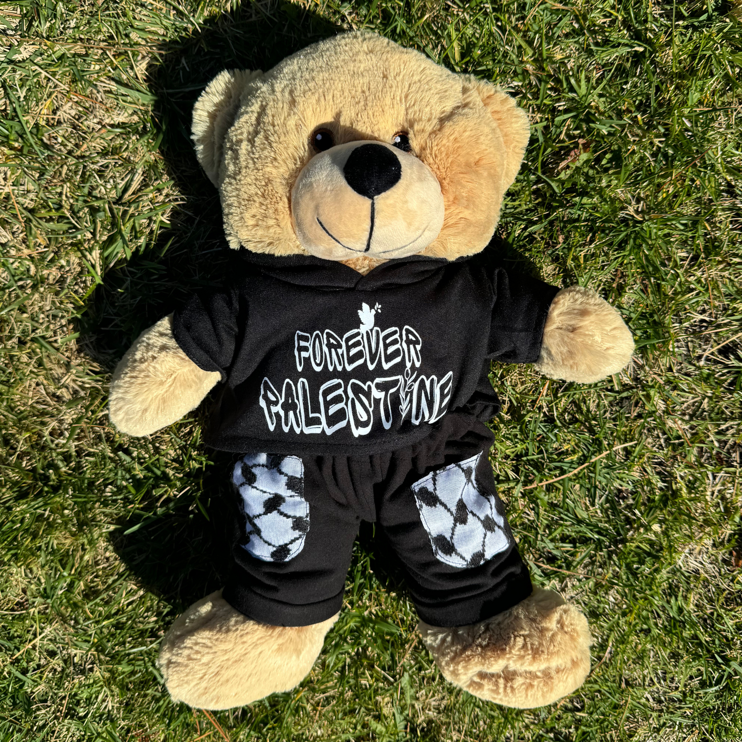 4EVER PALI TEDDY HOODIE