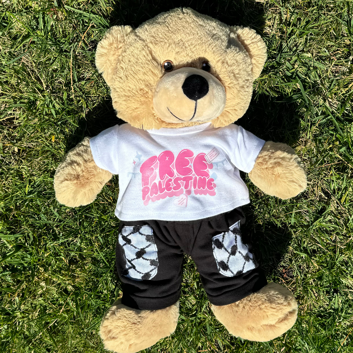 ALL THINGS PINK TEDDY T
