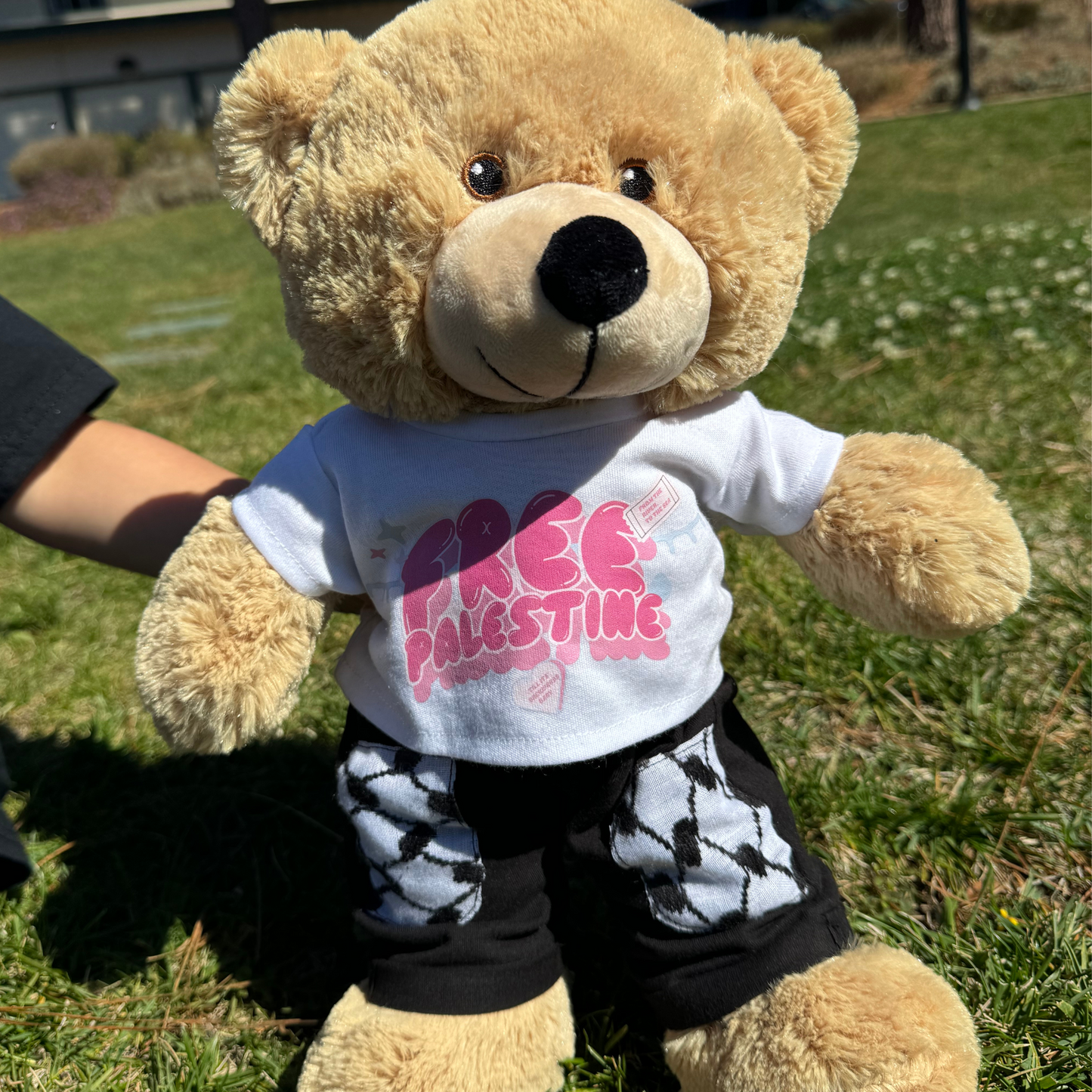 ALL THINGS PINK TEDDY T